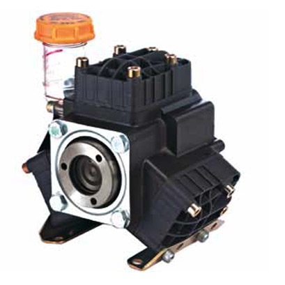 bertolini_Pa-330